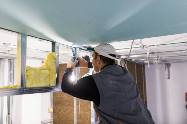 Best Basement Insulation  in Rosebud, TX